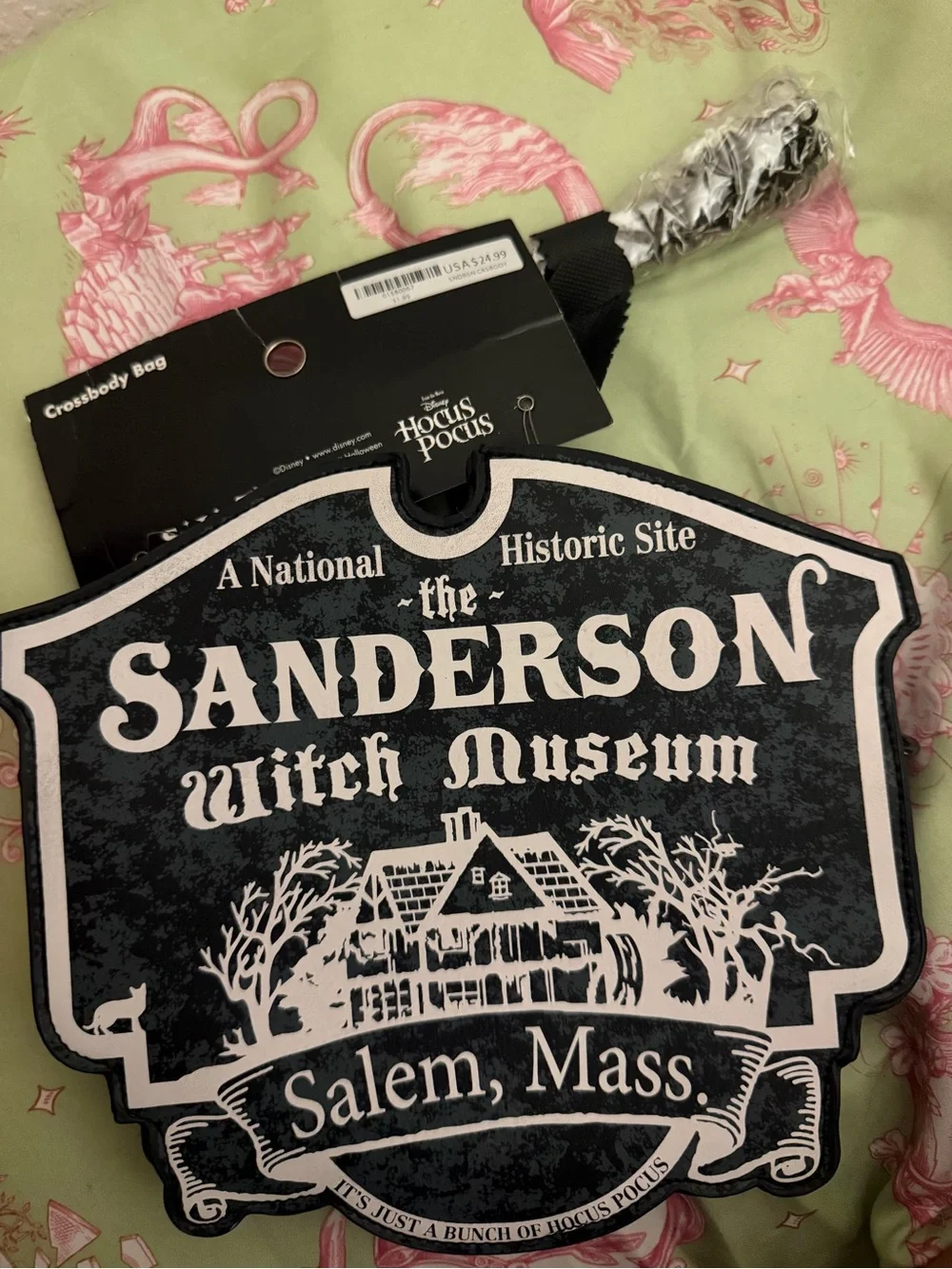 Sanderson Witch Museum Hocus Pocus purse
